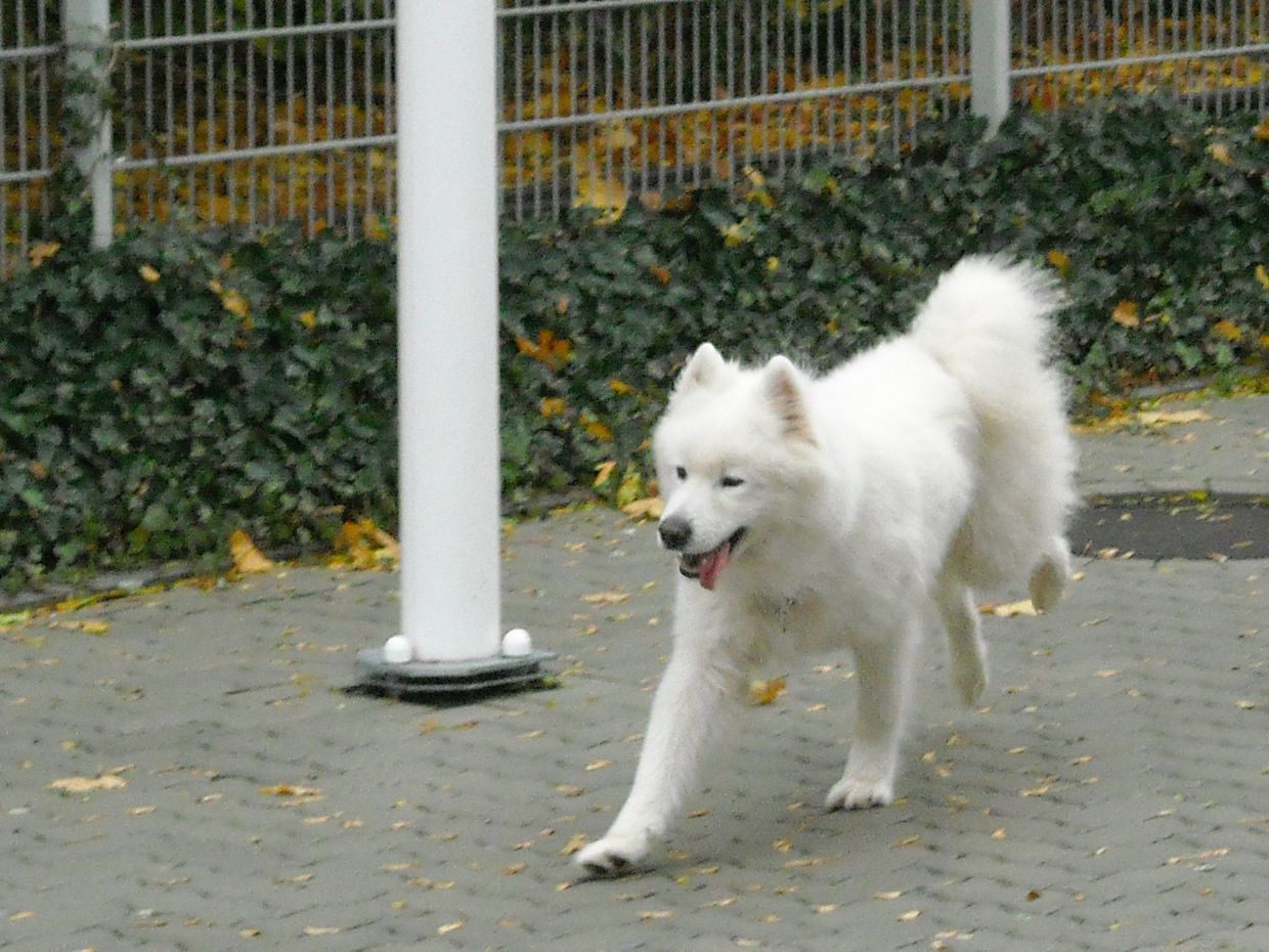 Arki06.JPG