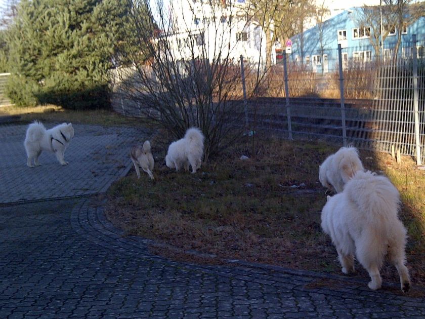 freizeit001.jpg