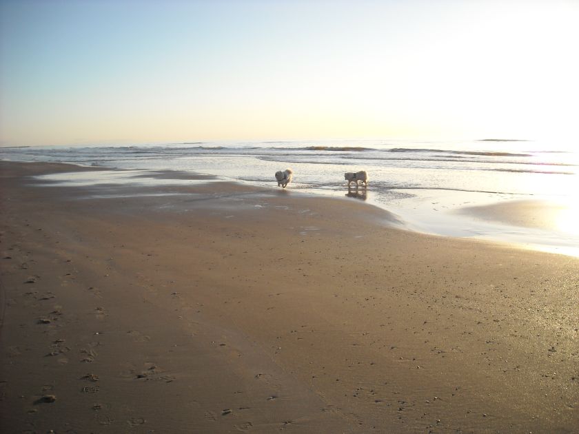 freizeit005.jpg