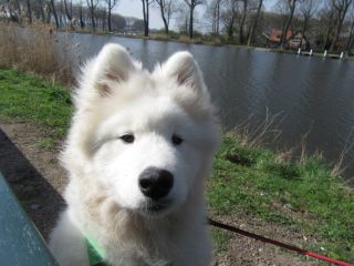 jussi09.jpg