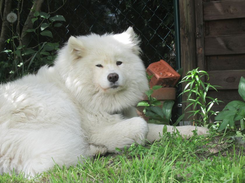 manja005.jpg