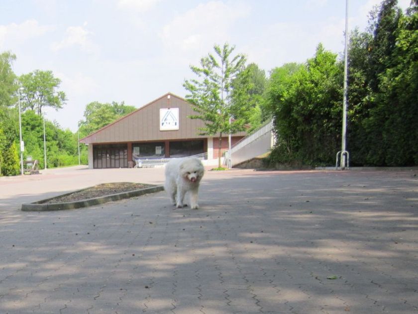 otto010.jpg