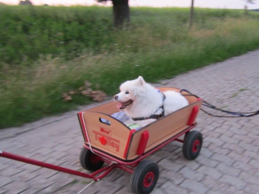 otto011.jpg