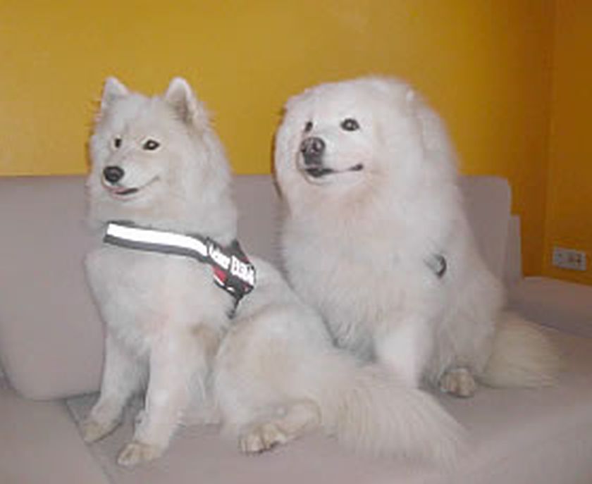 otto014.jpg