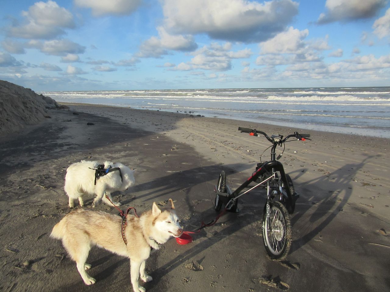 trike004.jpg