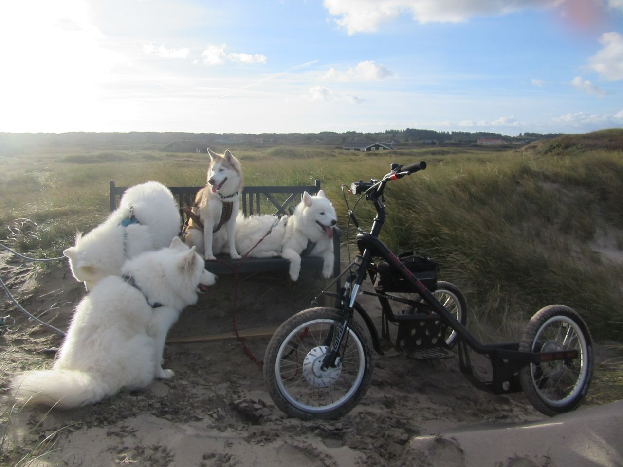 trike005.jpg