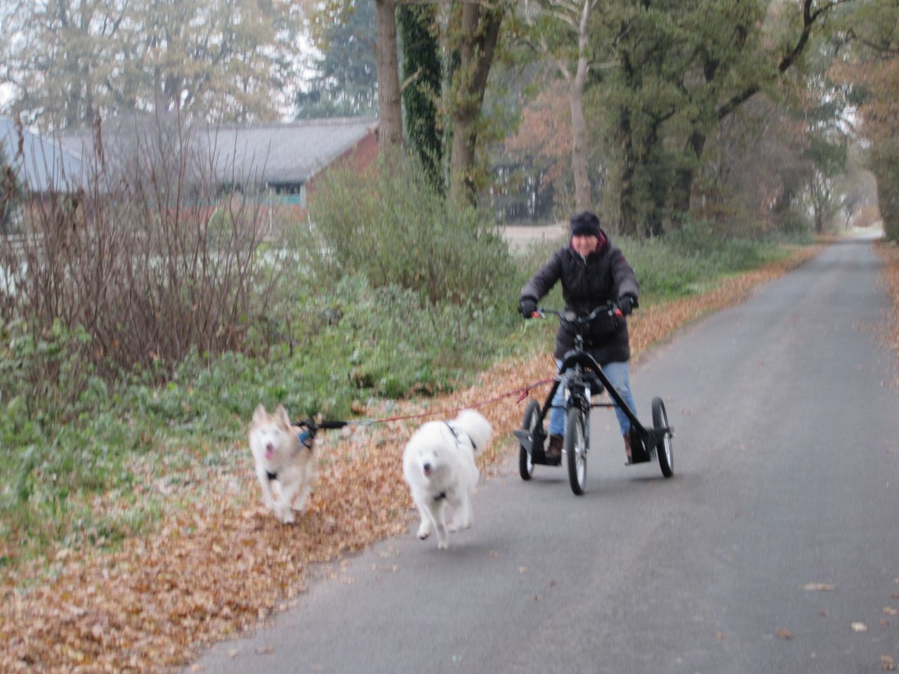 trike006.jpg