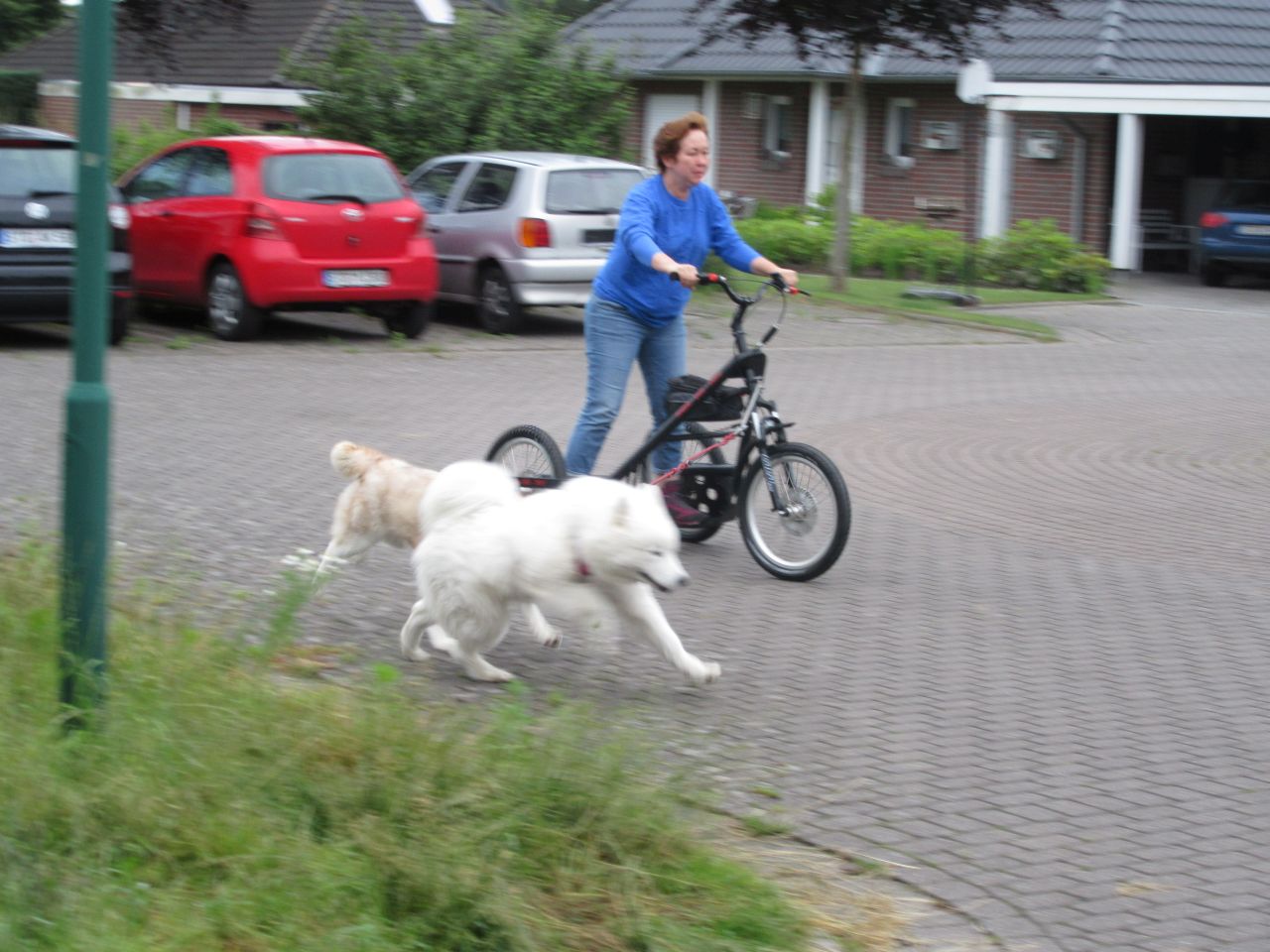 trike007.jpg