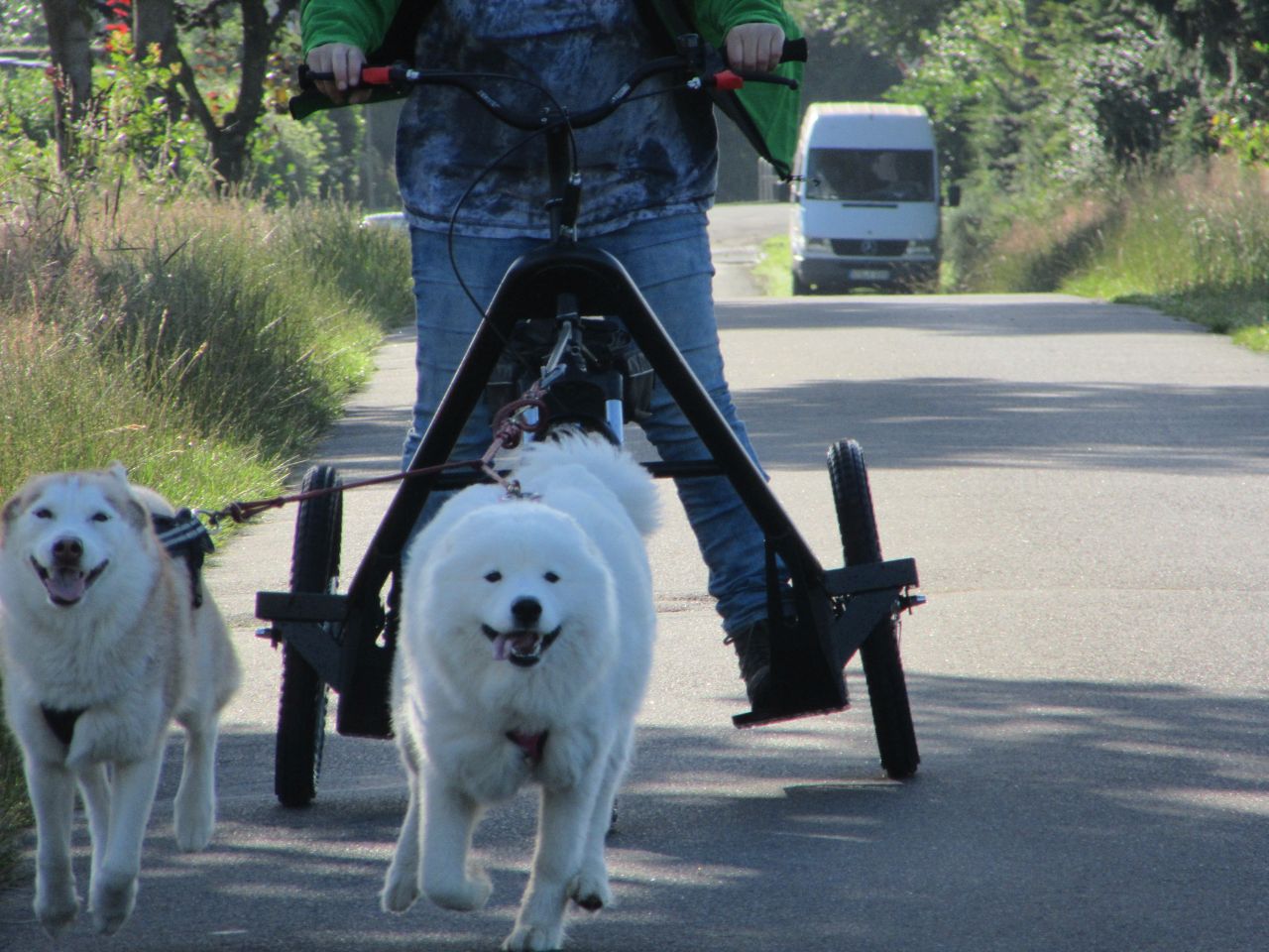 trike008.jpg