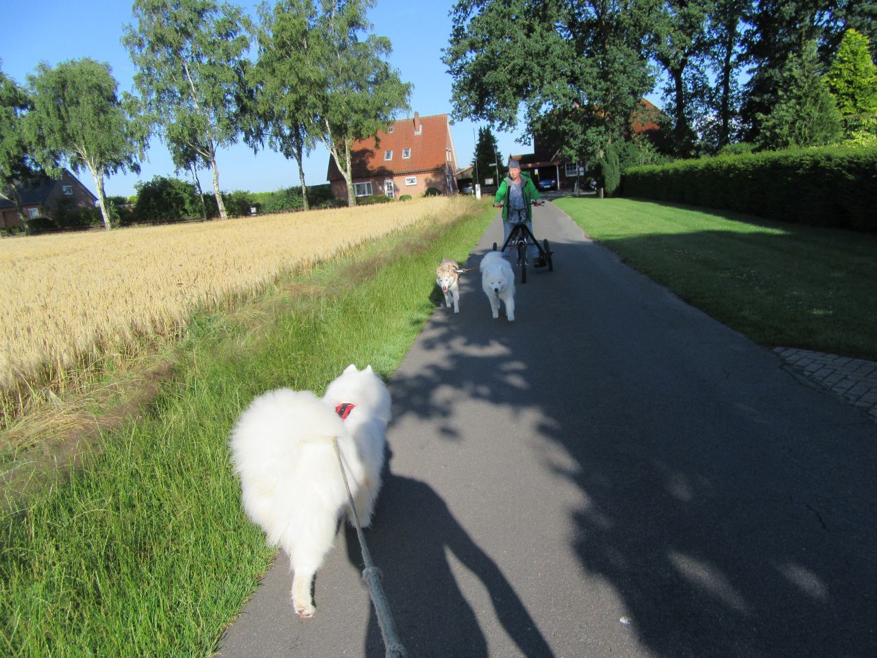 trike009.jpg
