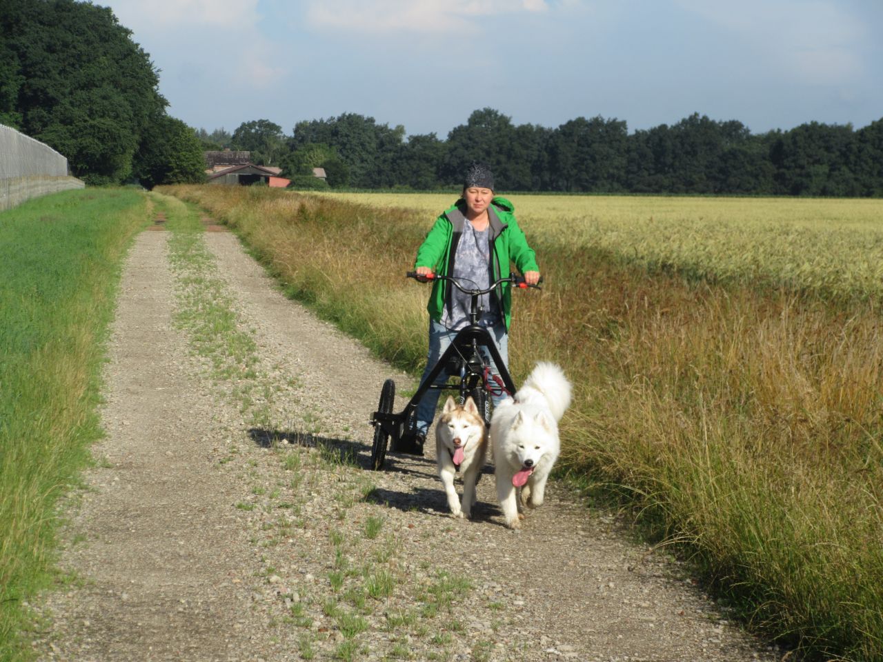 trike010.jpg