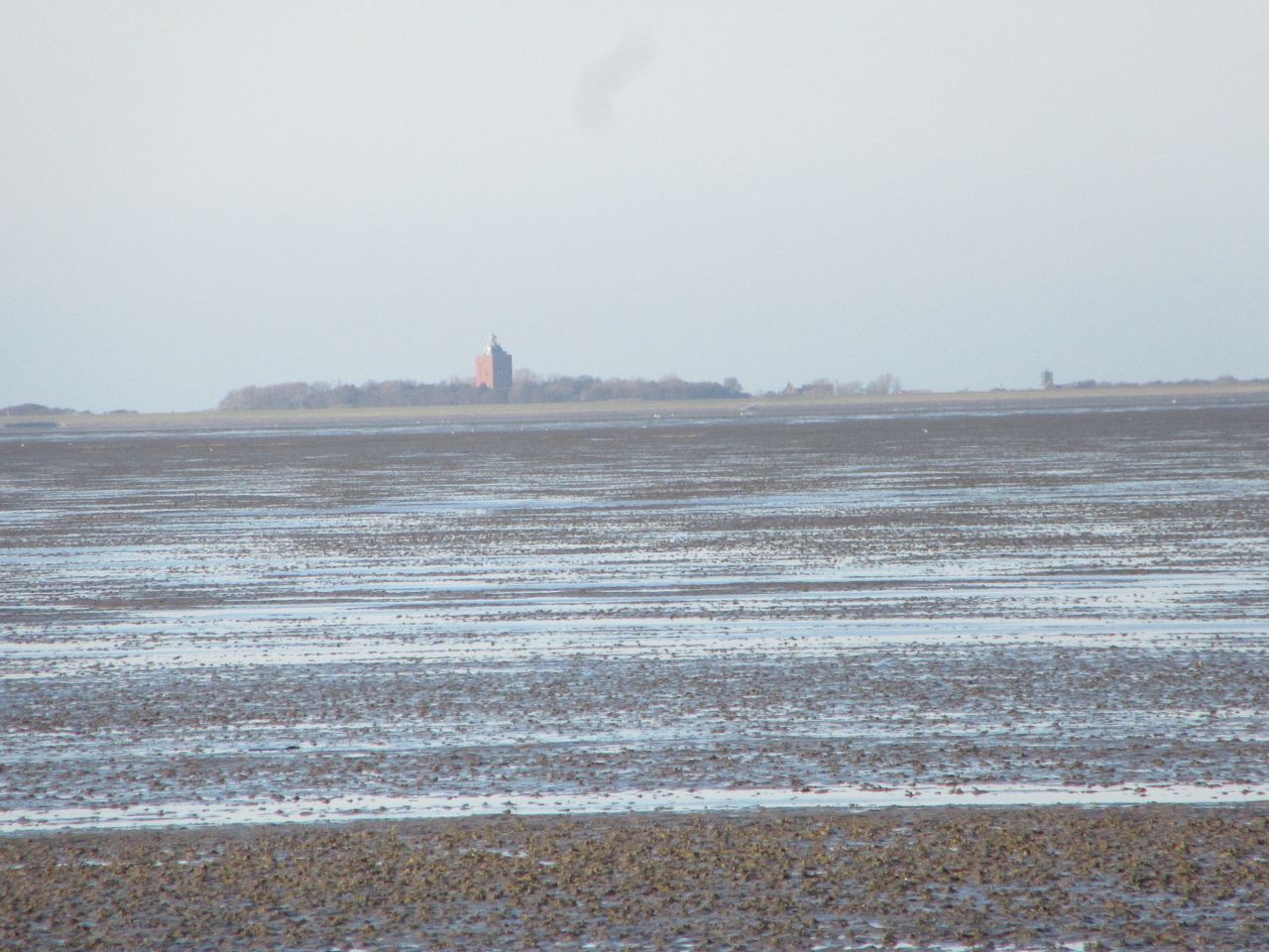 windhund004.jpg