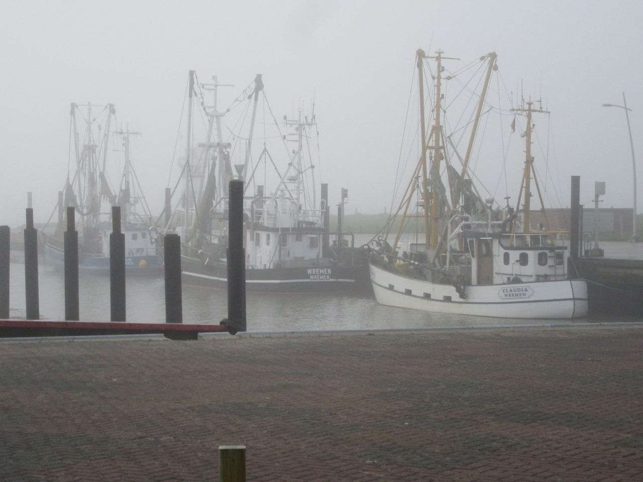 windhund007.jpg