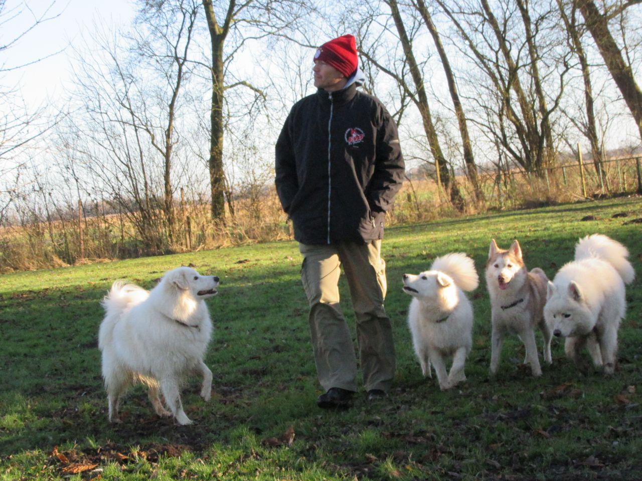 windhund019.jpg